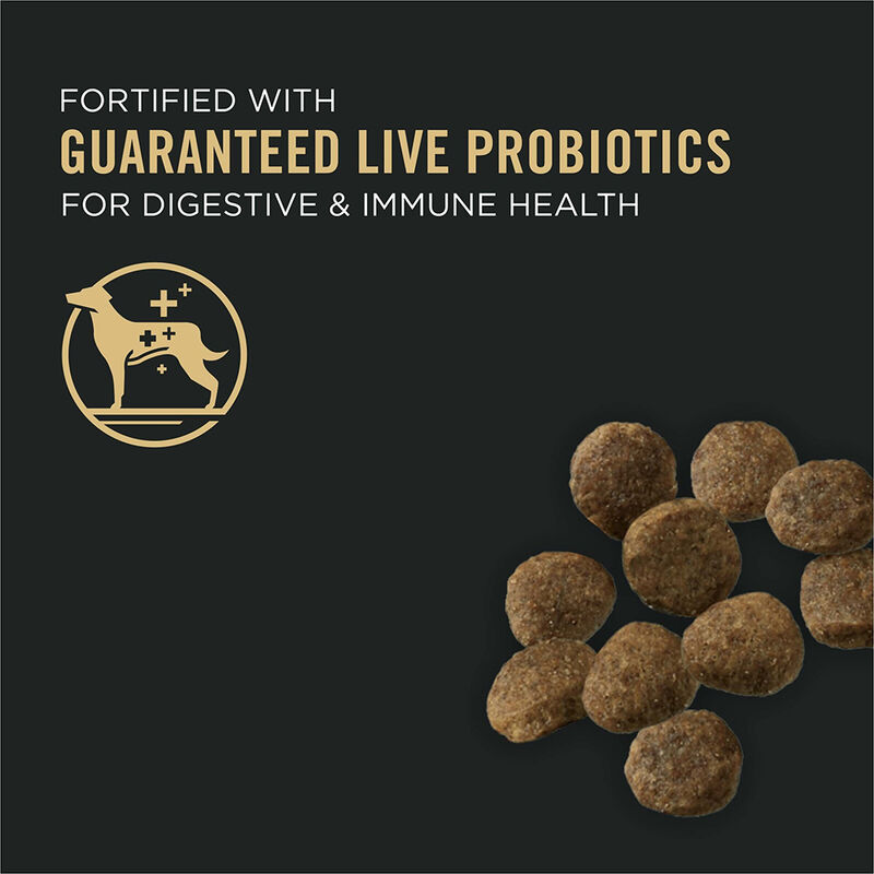Purina Pro Plan Sensitive Skin & Stomach Puppy  with Probiotics, Salmon & Rice, Dry Dog Food Formula image number null