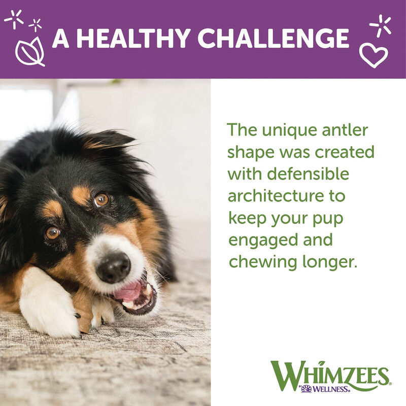 Whimzees, Occupy Chews - Medium image number null