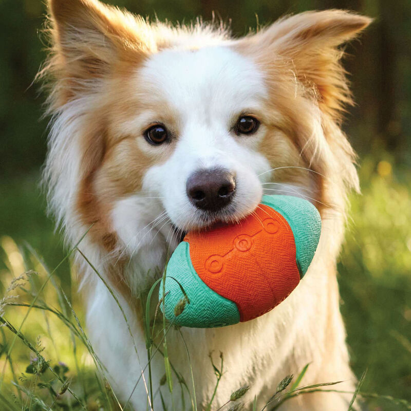 Bionic Super Squeak Football Dog Toy image number null