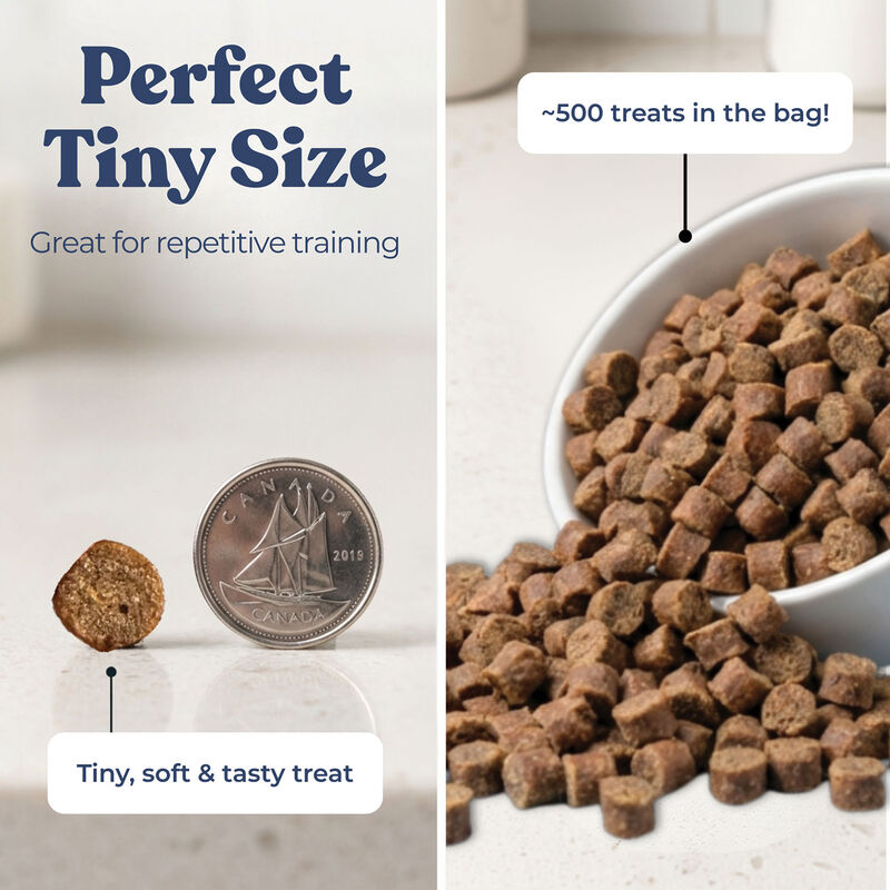 Healthybud, Beef Mini Training Treats with Superfoods image number null