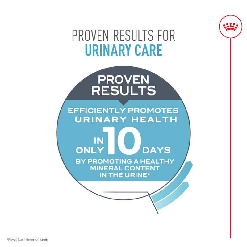 Royal Canin, Feline Care Nutrition - Urinary Care - Dry Cat Food image number null