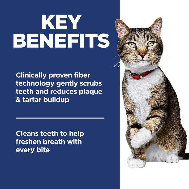 Science Diet, Adult Oral Care Chicken Recipe - Dry Cat Food image number null