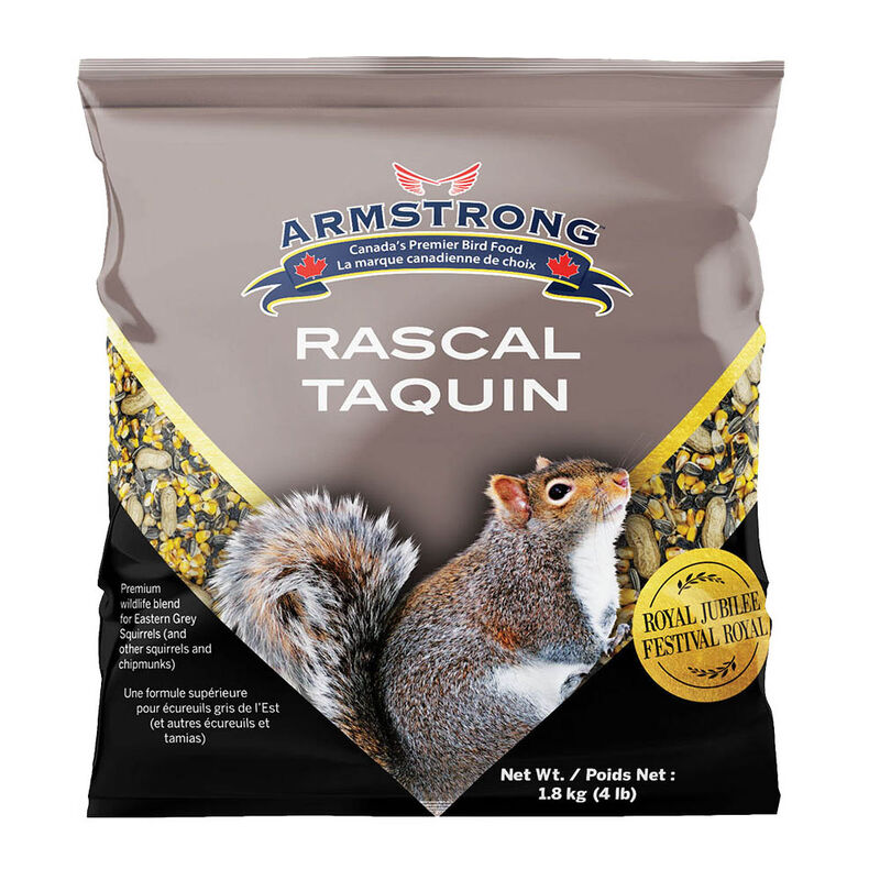 Armstrong, Royal Jubilee, Rascal Squirrels&Chipmunks- 1.8 kg image number null