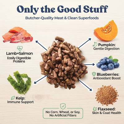 Healthybud, Freeze-Dried Lamb and Salmon Meal Bites 397g - Freeze Dried Dog Food