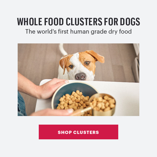 Shop Clusters For Dogs