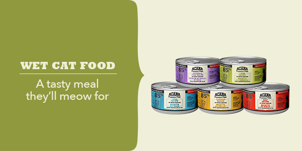 Wet Cat Food - a tasty meal they'll meow for