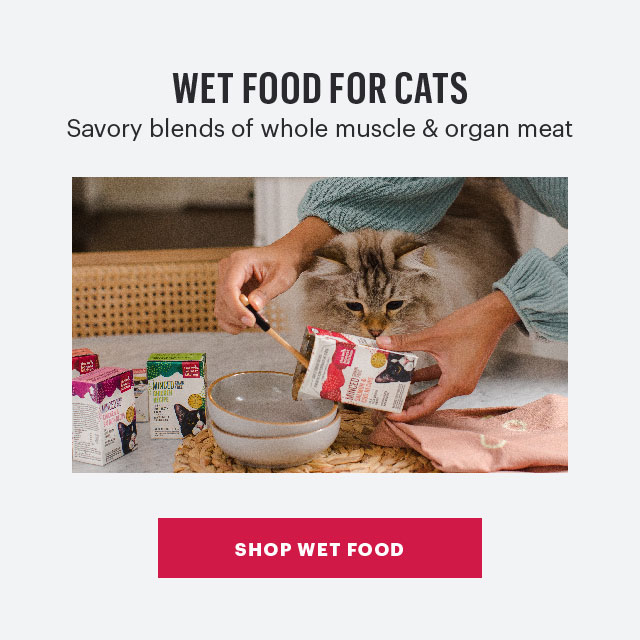 Shop Wet Cat Food