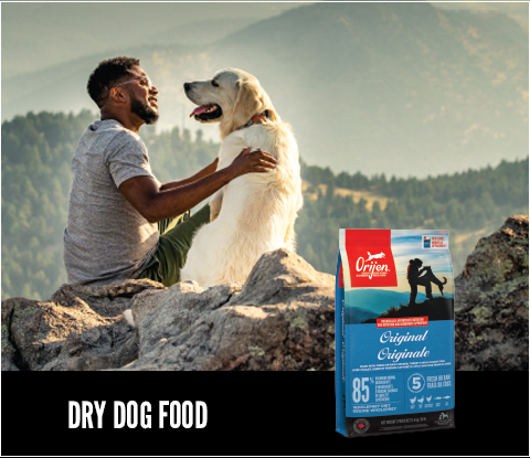 Shop Dry Dog Food