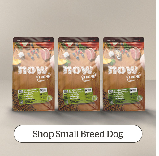 Shop Small Breed Dog