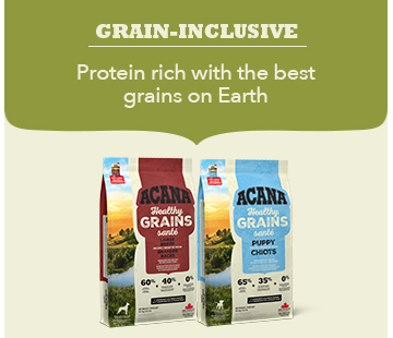 grain-inclusive - protein rich with the best grains on earth