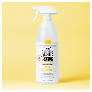 Stain & Odour