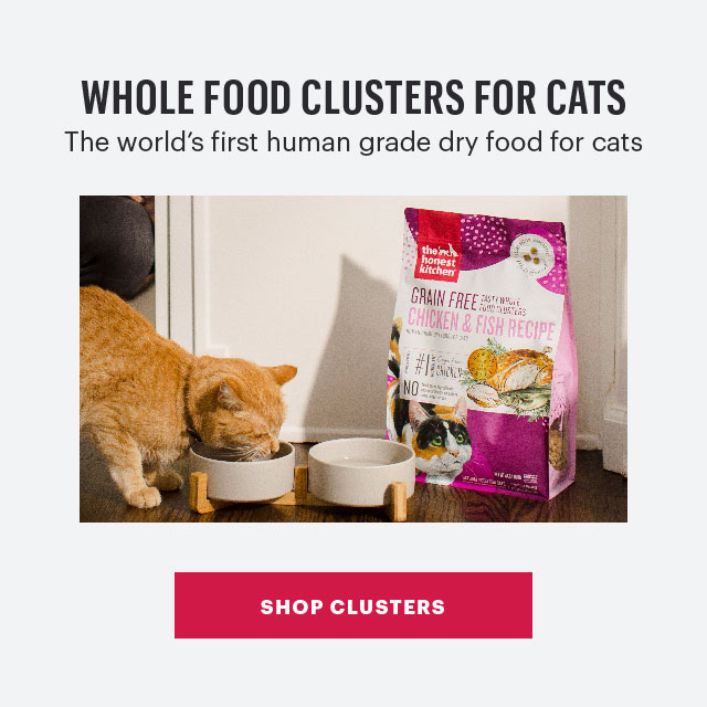 Shop Clusters For Cats