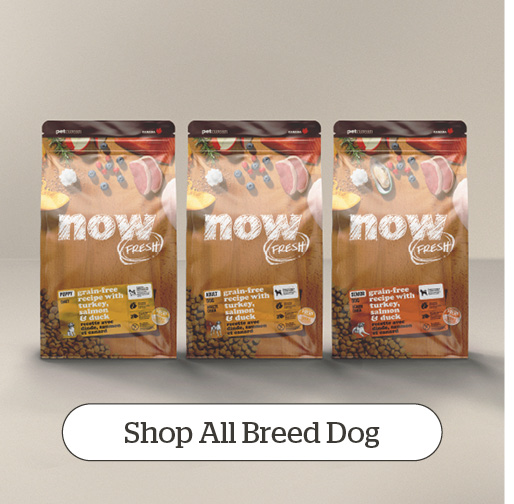 Shop All Breed Dog