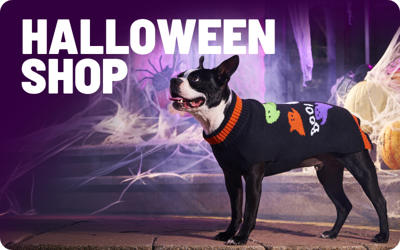 Shop Halloween for your pets