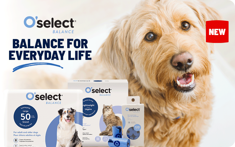 Discover O'Select Balance