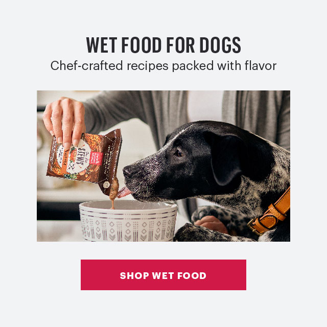 Shop Wet Dog Food