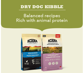 Dry dog kibble - balanced recipes rich with animal protein