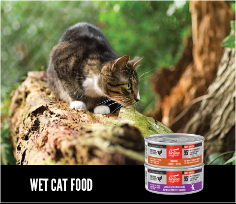 Shop Wet Cat Food