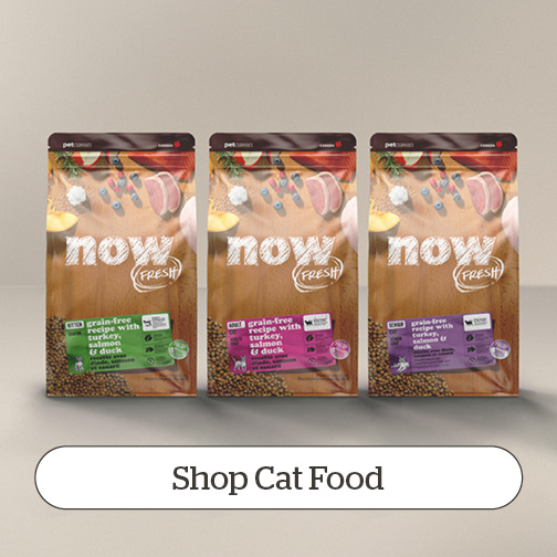 Shop Cat Food