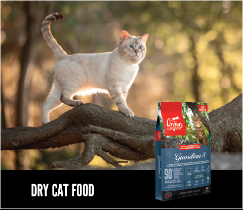 Shop Dry Cat Food