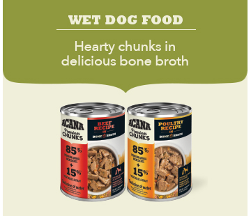 Wet dog food - hearty chunky in delicious bone broth