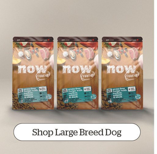 Shop Large Breed Dog