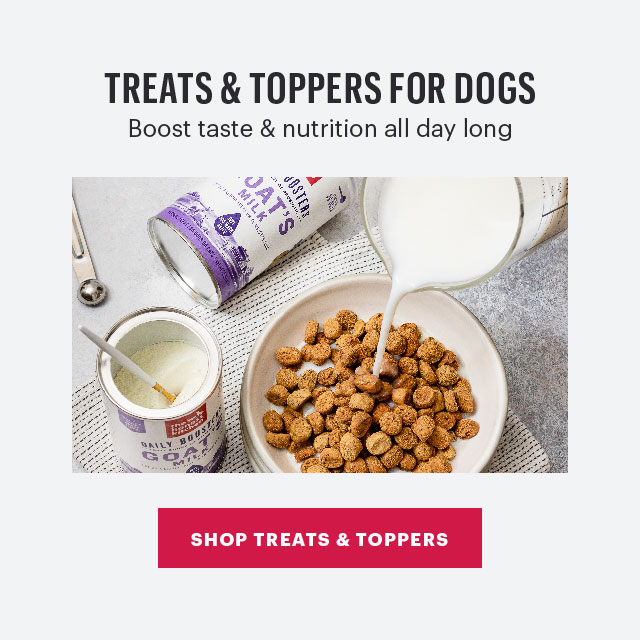 Shop Treats and Toppers for Dogs